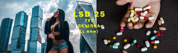 ПСИЛОЦИБИНОВЫЕ ГРИБЫ Алексеевка