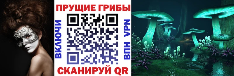 Галлюциногенные грибы GOLDEN TEACHER  Звенигород 