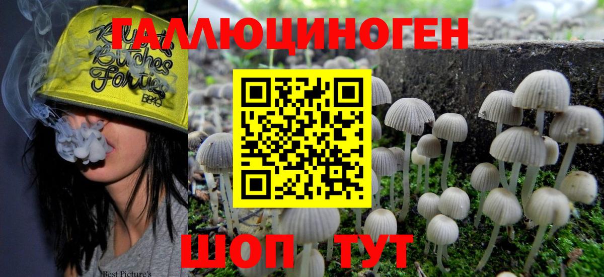 Псилоцибиновые грибы прущие грибы  Вход с VPN  Звенигород  Галлюциногенные грибы мицелий 