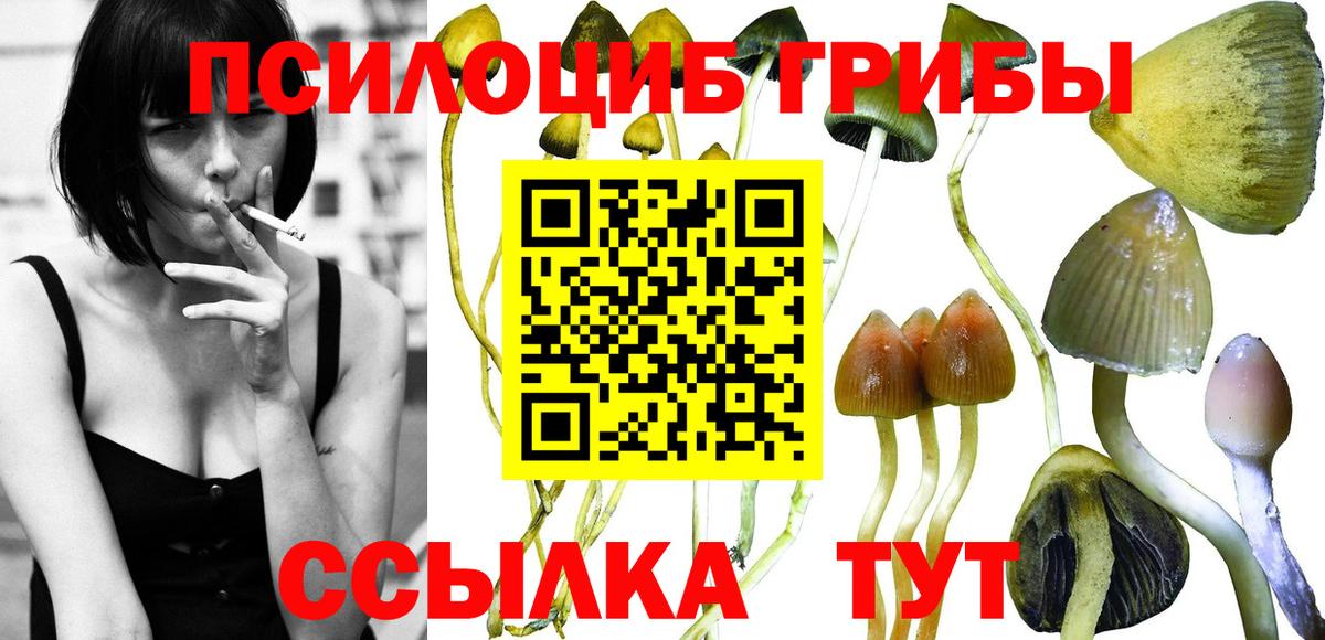 Псилоцибиновые грибы мухоморы Звенигород